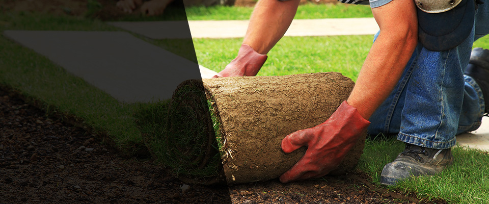 Highland Park Landscapers